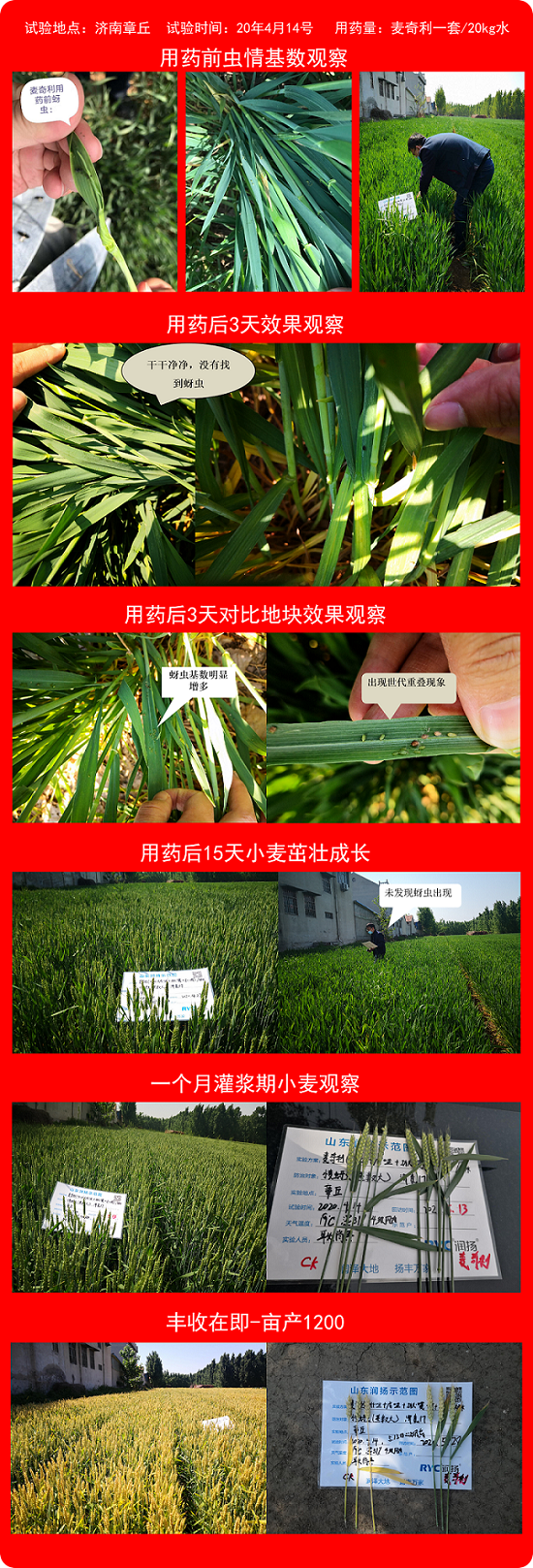 濟南實驗效果.png