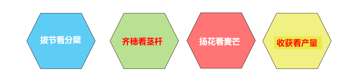 QQ截圖20200702165404.png