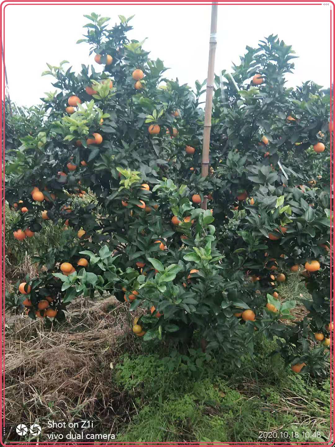 圖片7.jpg