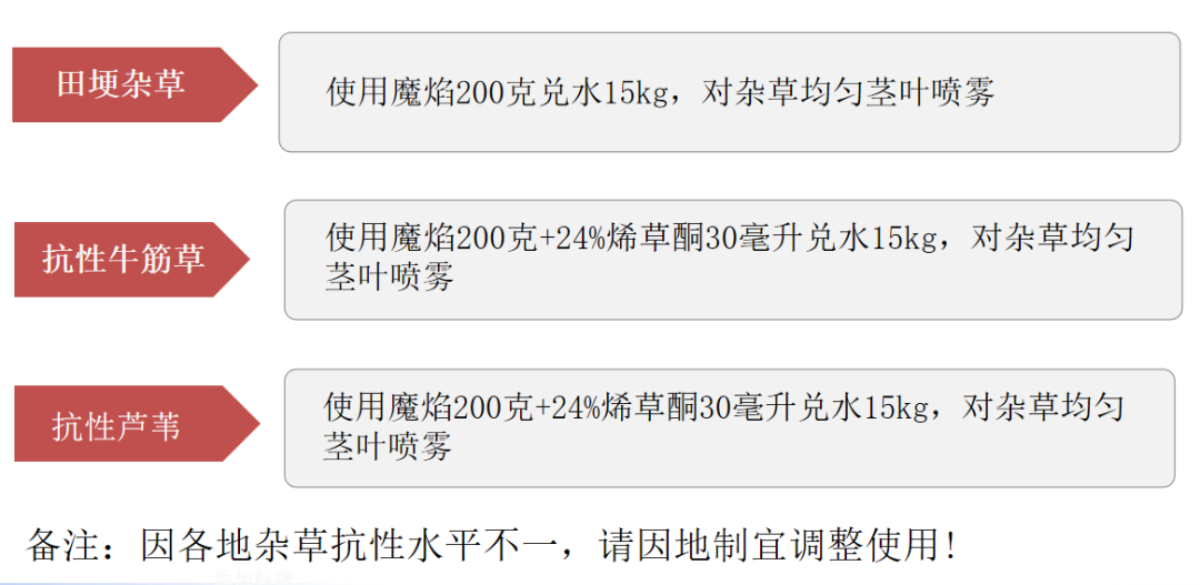 微信圖片_20210414090729.png