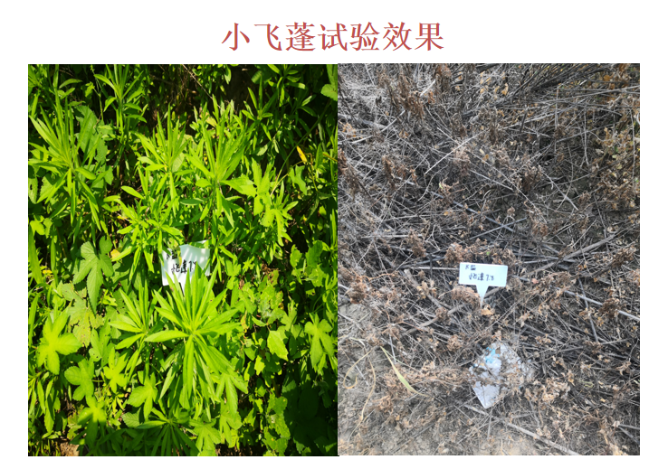 微信圖片_20210414090219.png