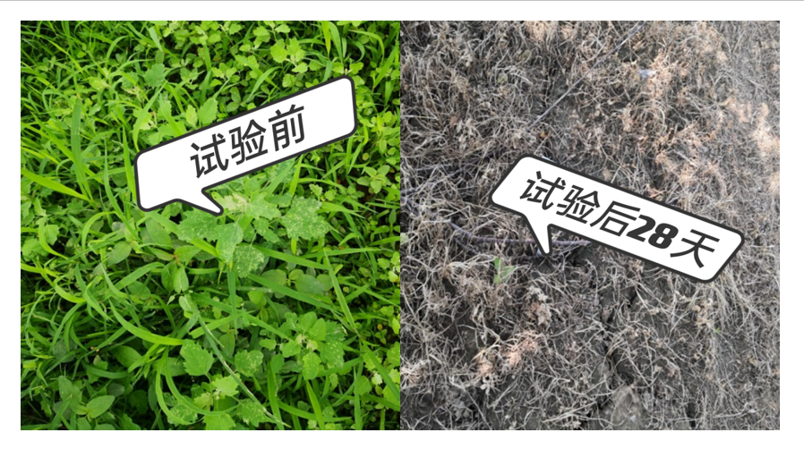 微信圖片_20210414090514.png