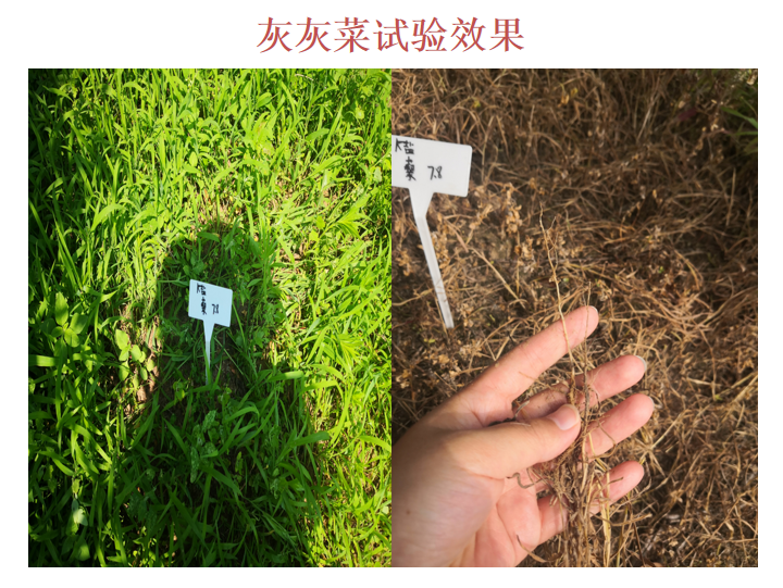 微信圖片_20210414090347.png