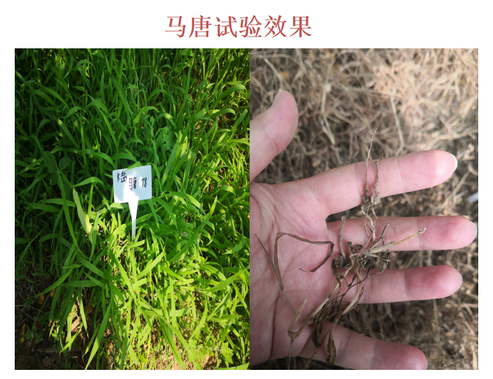 微信圖片_20210414090434.png