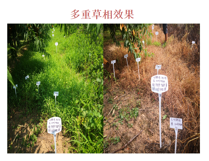 微信圖片_20210414090116.png