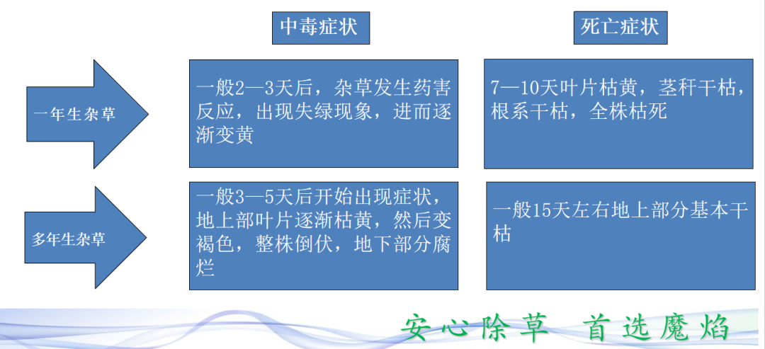 微信圖片_20210414090053.png