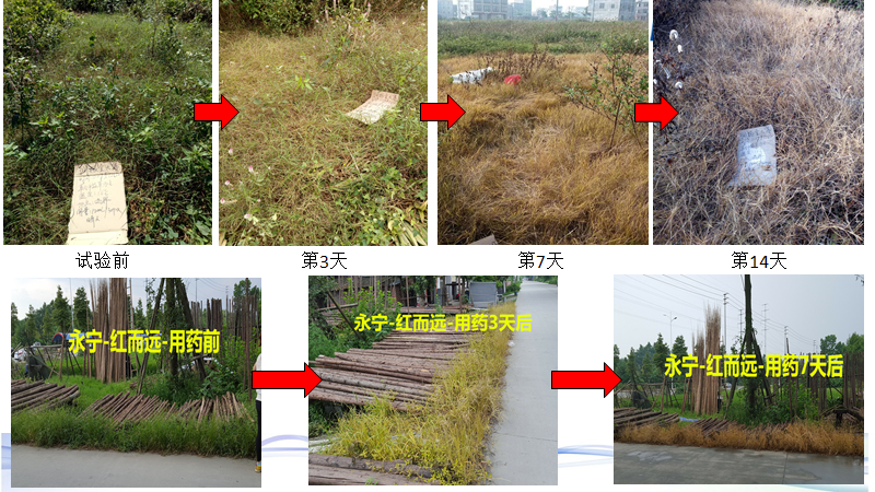 微信圖片_20210414101328.png