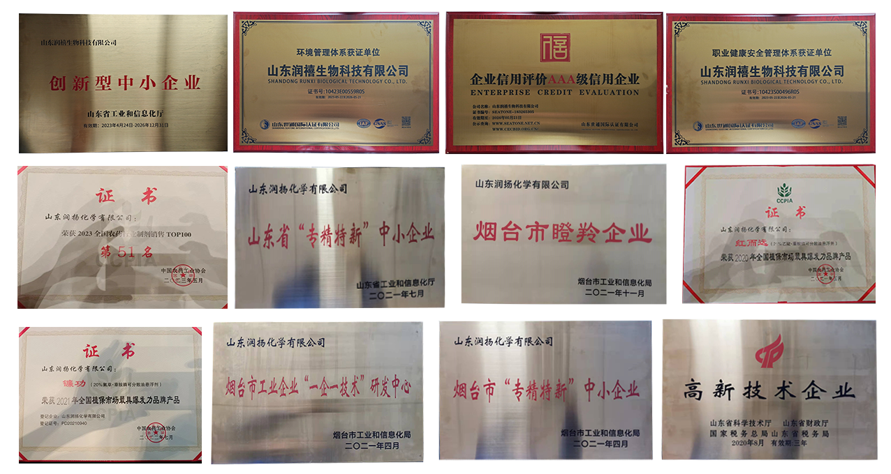 榮譽證書.png